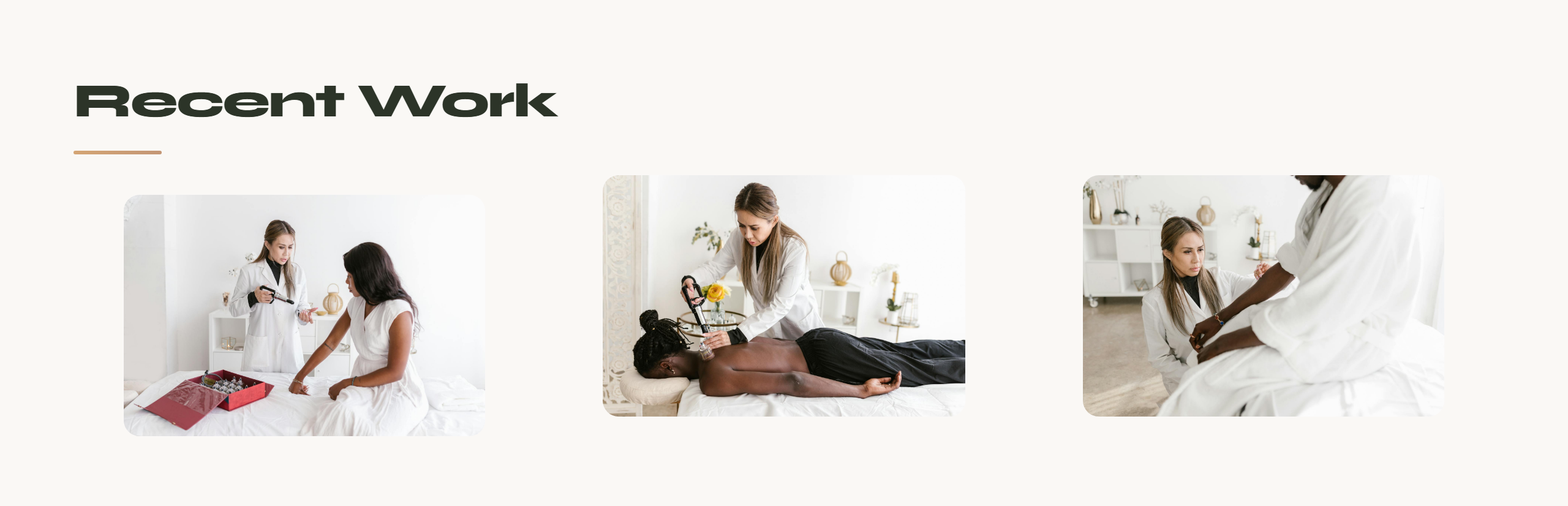 Chiropractic Template — Holistic Healing preview